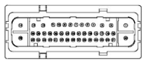 G11680181