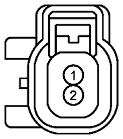 G11681634