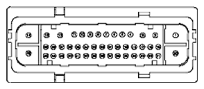 G11681635
