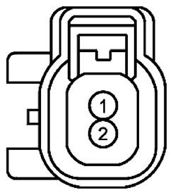 G11681637