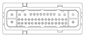 G11681778