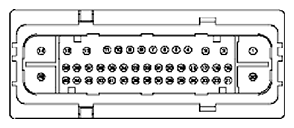 G11681984