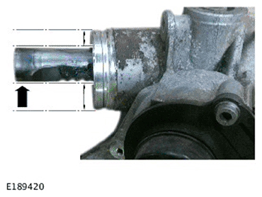 G11694010