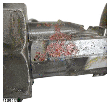 G11694024
