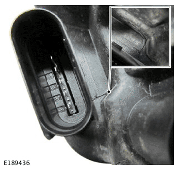 G11694025