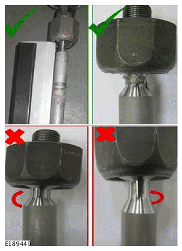 G11694036