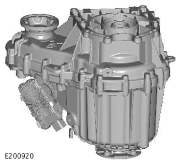 G11707650