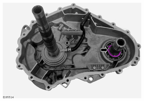 G11707653