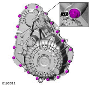 G11707662