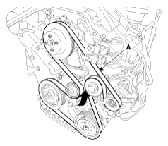 G11783808