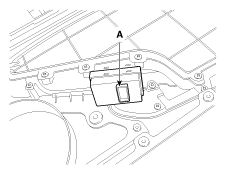 G11786065