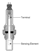 G11793851