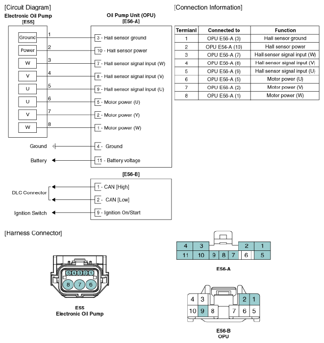 G11793950