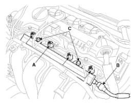G11794018