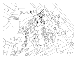 G11795279