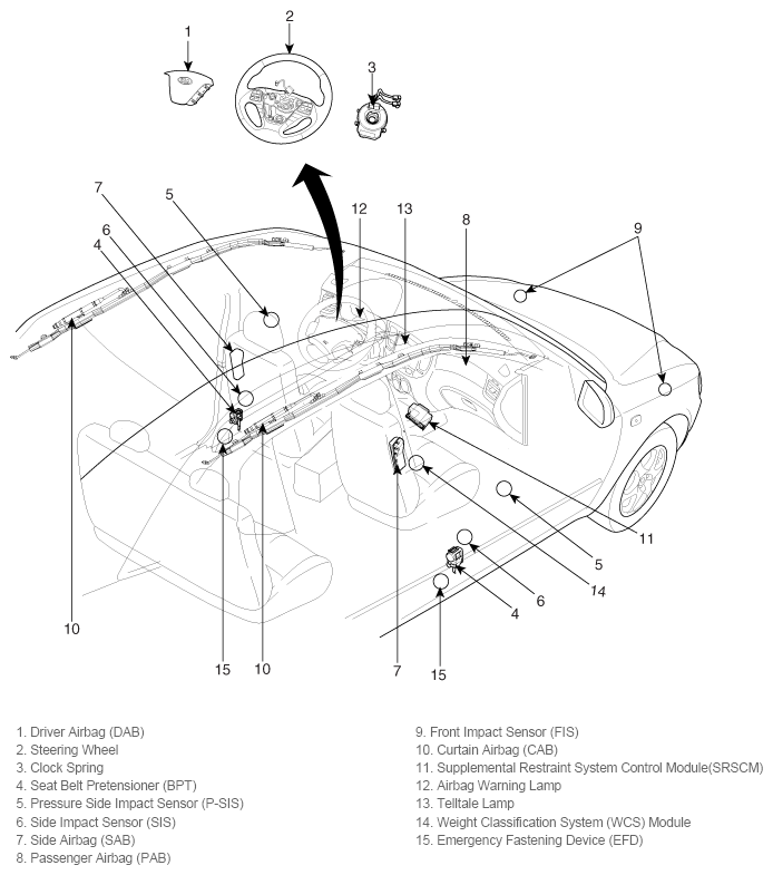 G11795591