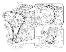 G11796516
