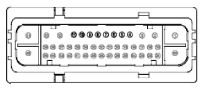G11915491