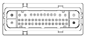 G11915954