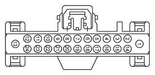 G11916016