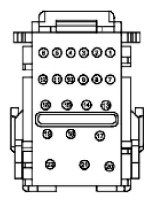 G11916061