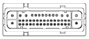 G11916186