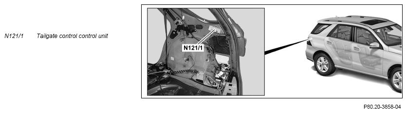 G11970021