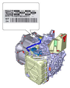 G12025155