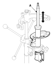 G12032904