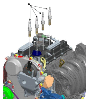G12053796