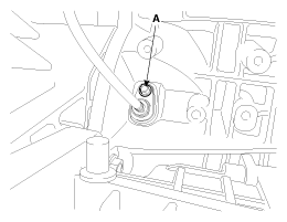 G12055399