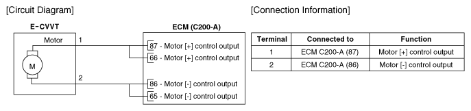 G12055480