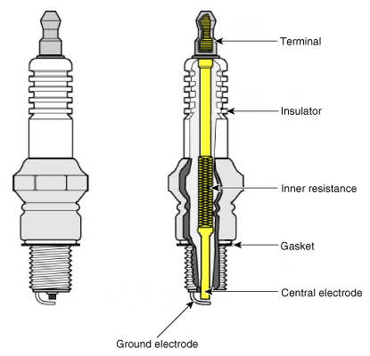 G12124610