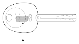 G12126574