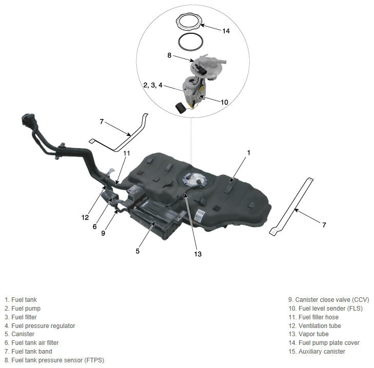 G12165676