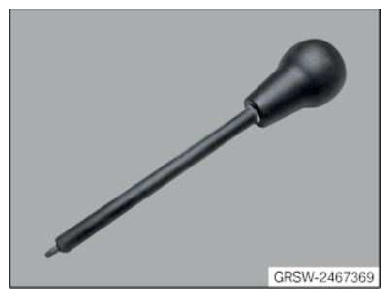 G12800567