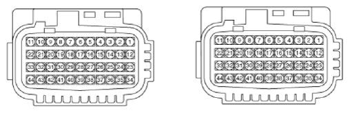 G12818393