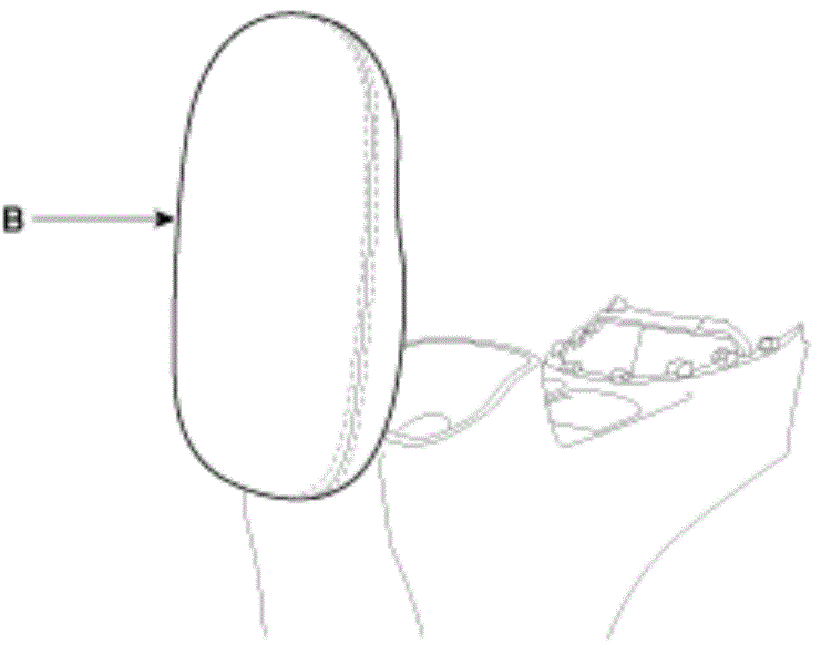 G12820205