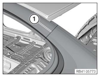 G12845089