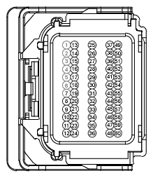 G12974476
