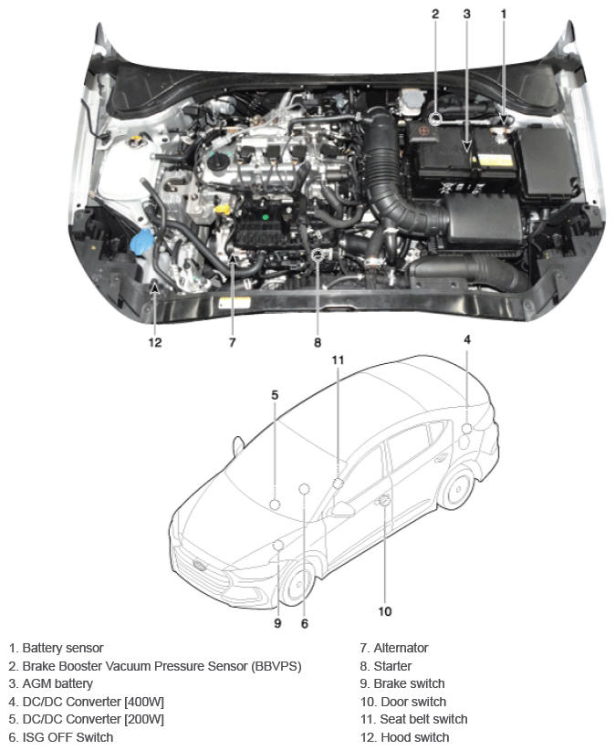 G12977146