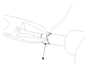 G13015631