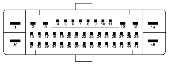 G13032686