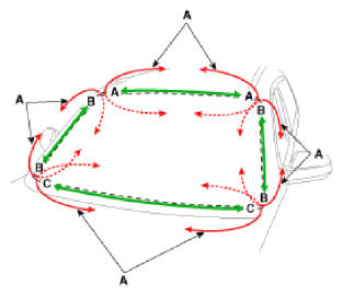 G13033086