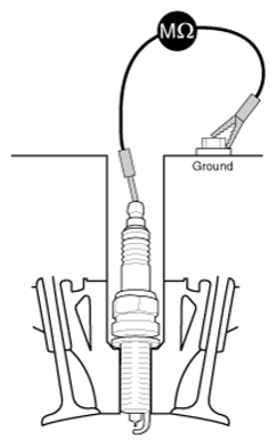 G13034209
