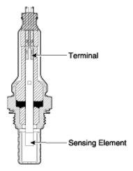 G13035037