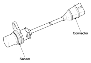 G13036894