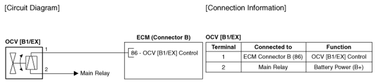 G13039495