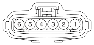 G13077586