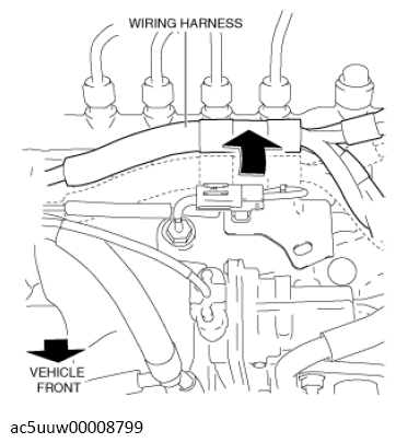 G13119282
